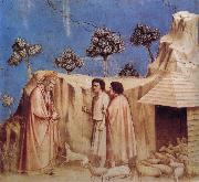 GIOTTO di Bondone Joachim Takes Refuge in the Wilderness oil on canvas